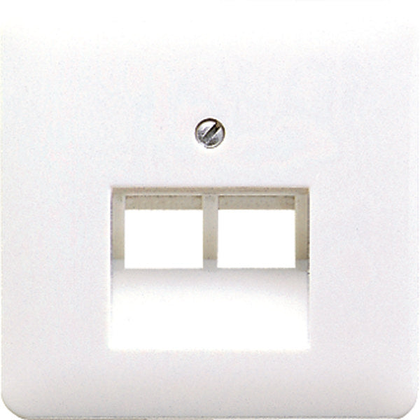Jung CD500 Plaque D'insertion Commutateur - CD569-2UAWW