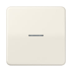 Jung CD500 - Élément de commande/appareil de commutation à Plaque centrale - CD590KO5