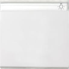 Gira System 55 Control Element/Central Plate Switchgear - 029903