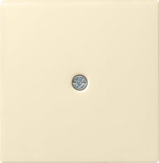 Insert D'appareillage Gira System 55 - 027401