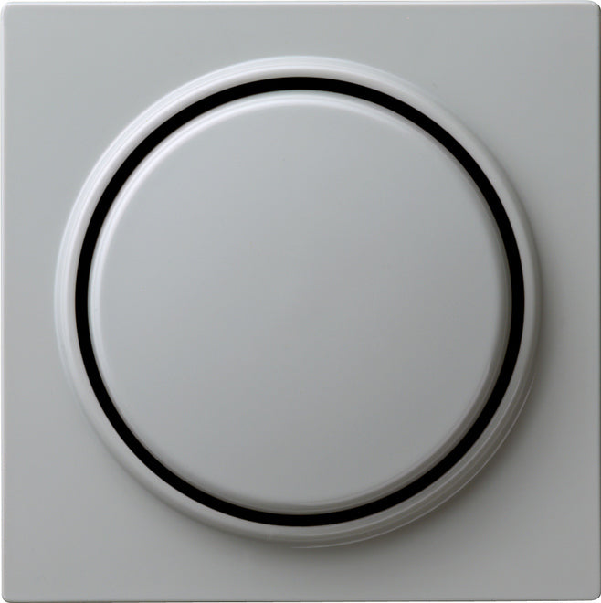 Gira S-Color Control Element/Central Plate Switchgear - 065042