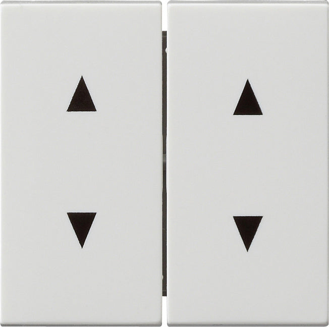 Gira System 55 Control Element/Central Plate Switchgear - 115003
