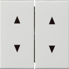Gira System 55 Control Element/Central Plate Switchgear - 115003