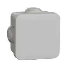 Schneider Electric Sarel MUREVA Coffret mural/plafonnier en saillie - ENN05002 [2 Pièces]