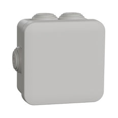 Schneider Electric Sarel MUREVA Coffret mural/plafonnier en saillie - ENN05004 [2 Pièces]