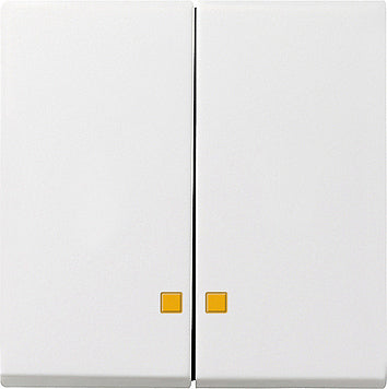 Gira System 55 Elément de commande/appareil de commutation à Plaque centrale - 063103