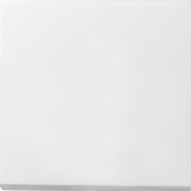 Interrupteur D'installation Gira F100 - 0126112