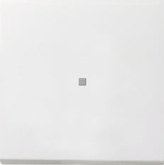 Interrupteur D'installation Gira F100 - 0136112