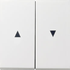 Gira F100 Control Element/Central Plate Switchgear - 0294112