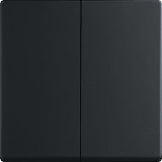 ABB Busch-Jaeger Control Element/Central Plate Switchgear - 2CKA006730A0141