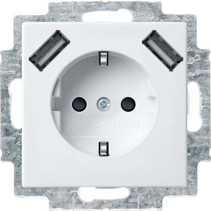 ABB Busch-Jaeger Wall Outlet (WCD Switchgear) - 2CKA002011A6266