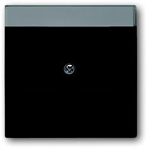 ABB Busch-Jaeger Future Insert Commutateur - 2CKA001710A3910
