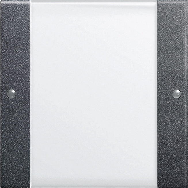 Gira System 55 Control Element/Central Plate Switchgear - 213128