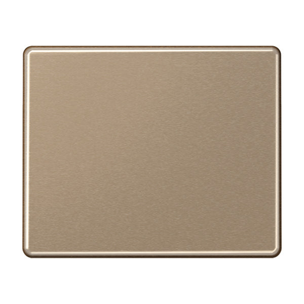 Jung SL500 - Élément de commande/appareil de commutation à Plaque centrale - SL590GB