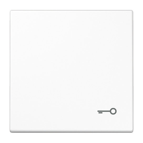 Jung LS990 Élément de contrôle/appareil de commutation à Plaque centrale - LS990TWW