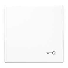Jung LS990 Élément de contrôle/appareil de commutation à Plaque centrale - LS990TWW