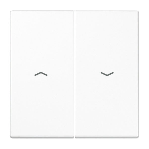 Jung LS990 - Élément de commande/Interrupteur à Plaque centrale - LS995PWW