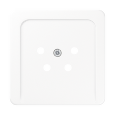 Jung CD500 Plaque D'insertion Commutateur - CD561NTFWW