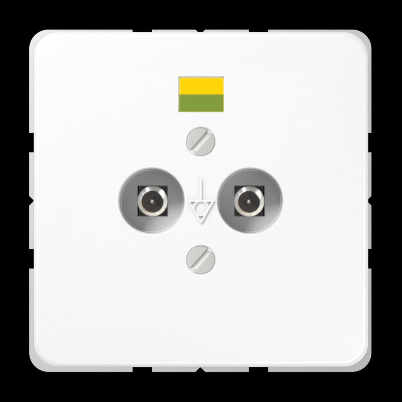 Jung CD500 Prise d'égalisation de Potentiel - CD565-2NWW