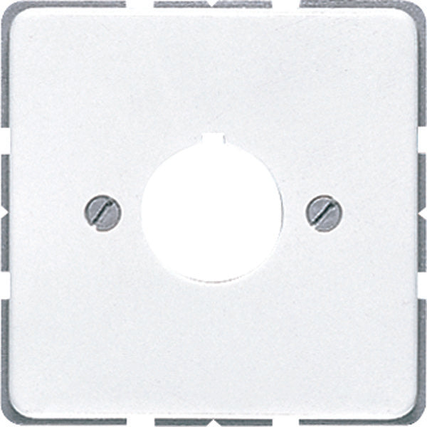 Jung CD500 Plaque D'insertion Commutateur - CD564WW