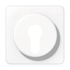 Jung CD500 - Élément de commande/appareil de commutation à Plaque centrale - CD528WW
