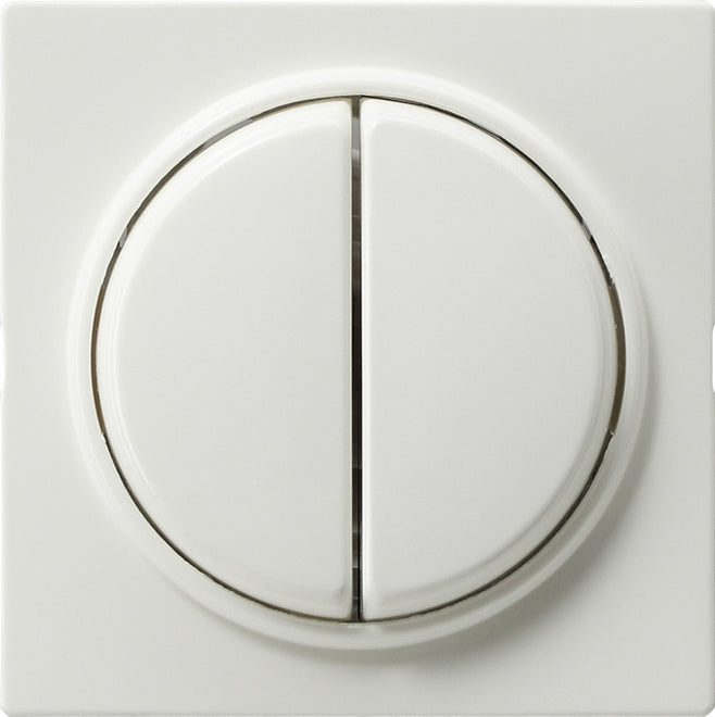 Gira S-Color Elément de commande/appareil de commutation à Plaque centrale - 029540