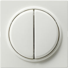 Gira S-Color Elément de commande/appareil de commutation à Plaque centrale - 029540