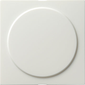 Gira S-Color Insertion D'interrupteur - 026840