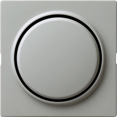 Gira S-Color Elément de commande/appareil de commutation à Plaque centrale - 029642