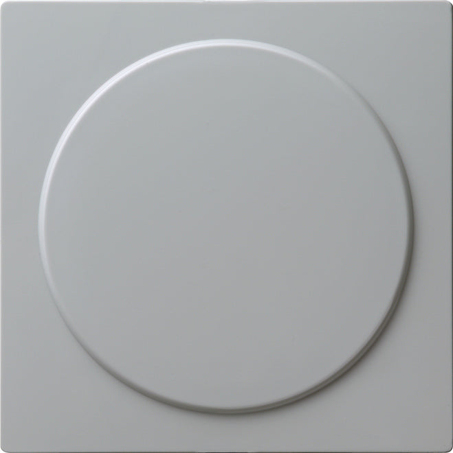 Gira S-Color Insertion D'interrupteur - 026842