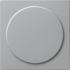 Gira S-Color Insertion D'interrupteur - 026842
