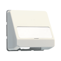 Jung CD500 Plaque D'insertion Commutateur - 554