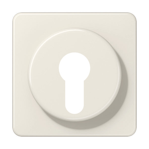 Jung CD500 Élément de commande/appareil de commutation à Plaque centrale - 528