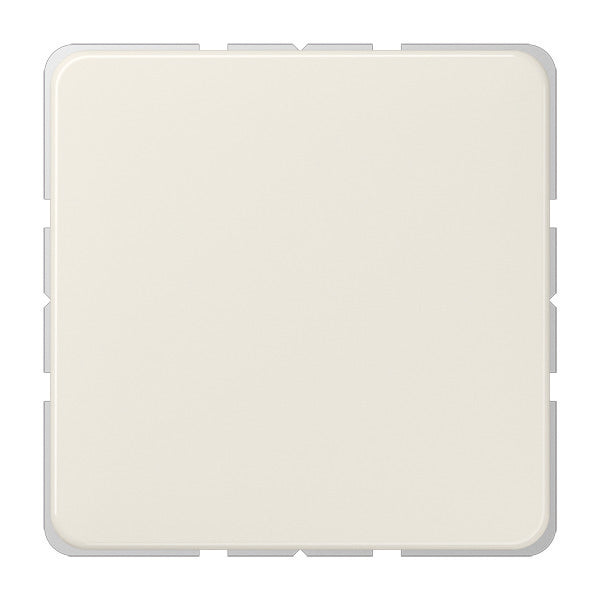 Jung CD500 - Élément de commande/appareil de commutation à Plaque centrale - 594-0