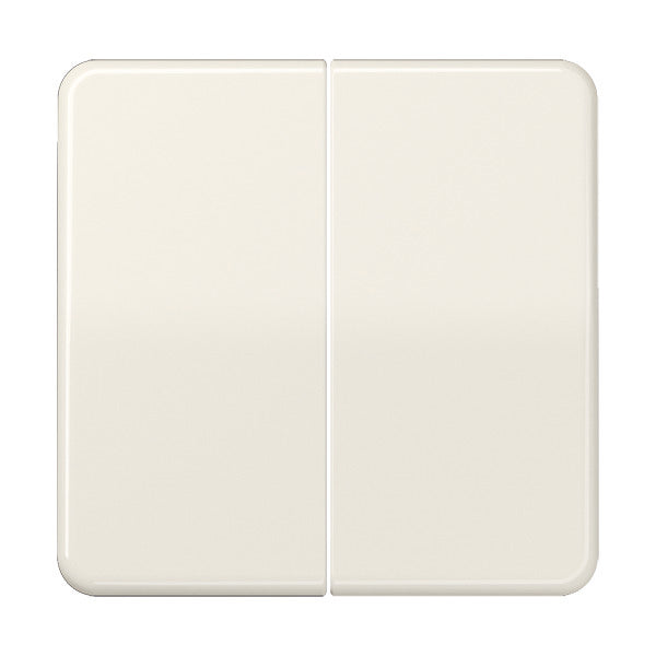 Jung CD500 - Élément de commande/appareil de commutation à Plaque centrale - CD595BF