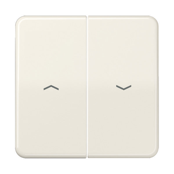 Jung CD500 - Élément de commande/Interrupteur à Plaque centrale - CD595P