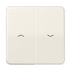 Jung CD500 - Élément de commande/Interrupteur à Plaque centrale - CD595P