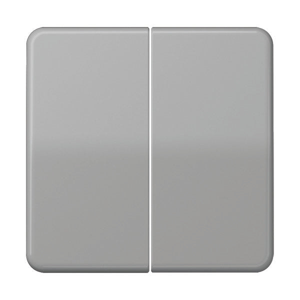 Jung CD500 - Élément de commande/appareil de commutation à Plaque centrale - CD595GR