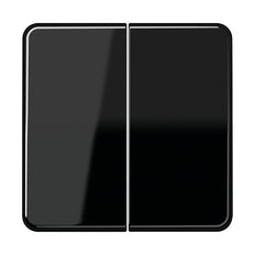 Jung CD500 - Élément de commande/Interrupteur à Plaque centrale - CD595SW