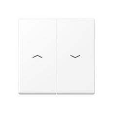 Jung A RANGE Élément de commande/Interrupteur à Plaque centrale - A595PWWM