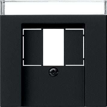 Insert D'appareillage Gira System 55 - 0876005