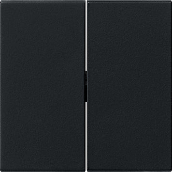 Gira System 55 Elément de commande/appareil de commutation à Plaque centrale - 0295005