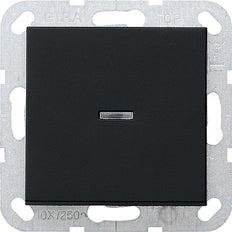 Interrupteur D'installation Gira System 55 - 0122005