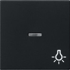 Gira System 55 Elément de commande/appareil de commutation à Plaque centrale - 0674005
