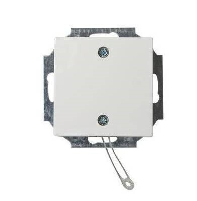 Interrupteur D'installation ABB Busch-Jaeger - 2CKA009999A2610