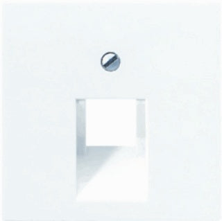 Jung AS500 Plaque D'insertion Commutateur - A569-1PLUAWW