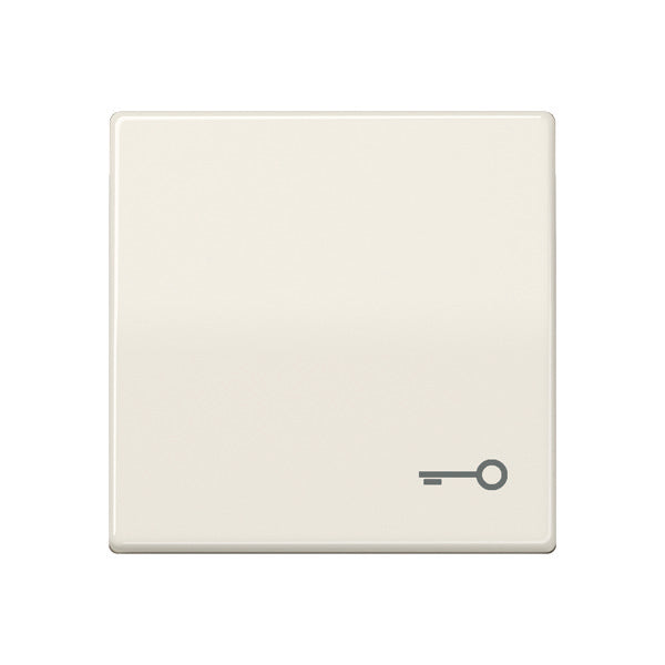 Jung AS500 Élément de commande/Interrupteur à Plaque centrale - AS591T