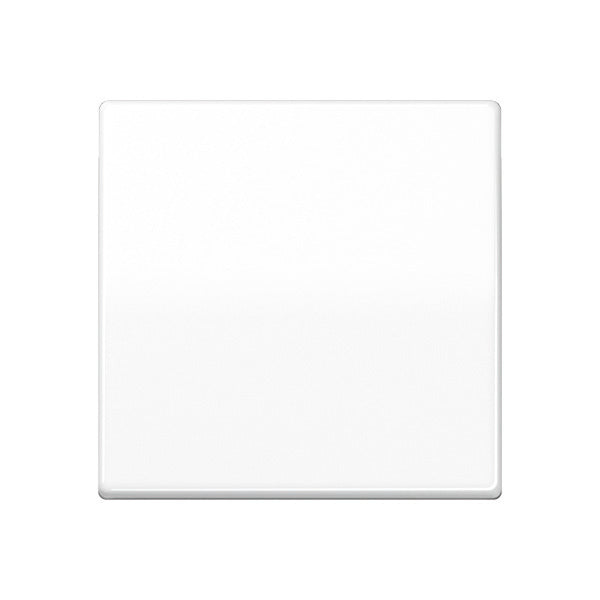 Jung AS500 Control Element/Central Plate Switchgear - AS591BFWW [2 Pieces] (anglais seulement)