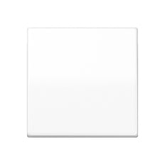 Jung AS500 Control Element/Central Plate Switchgear - AS591BFWW [2 Pieces] (anglais seulement)