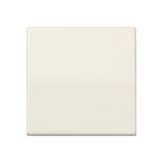 Jung AS500 Control Element/Central Plate Switchgear - AS591 [2 Pieces] (en anglais)